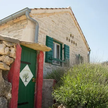 乡村民宿 Country House Olive Garden Gorica (Zadar)